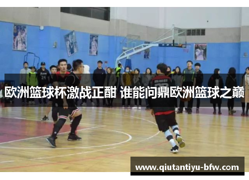 欧洲篮球杯激战正酣 谁能问鼎欧洲篮球之巅